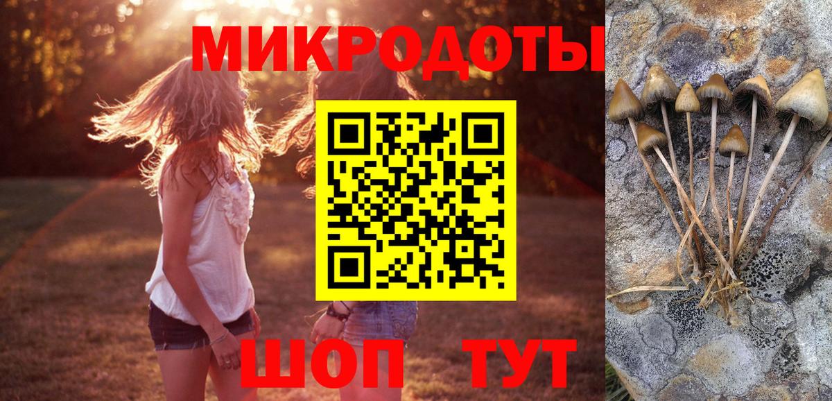 Нижнеудинск  Галлюциногенные грибы мухоморы  Галлюциногенные грибы ЛСД  где купить   Вход с VPN 